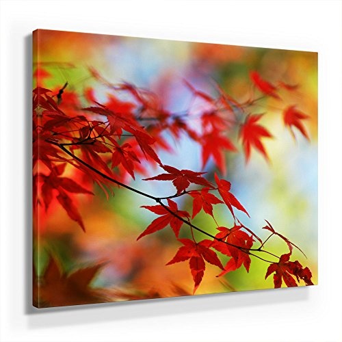 Rotes Herbst Laub - Leinwandbild 80x80cm, Leinwand auf Echtholzrahmen aufgespannt, UV-stabil und wasserfest, Kunstdruck für Büro oder Wohnzimmer, XXL Deko Bild abstrakt FineArtPrint Wandbild