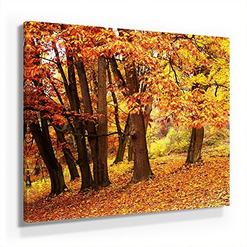 Herbstwald - Leinwandbild 50x50cm, Leinwand auf Echtholzrahmen aufgespannt, UV-stabil und wasserfest, Kunstdruck für Büro oder Wohnzimmer, XXL Deko Bild abstrakt FineArtPrint Wandbild