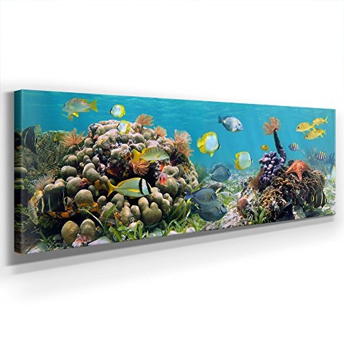 Unterwasser Riff Panorama - XXL 150x50cm, Leinwand auf Echtholzrahmen aufgespannt, UV-stabil und wasserfest, Kunstdruck für Büro oder Wohnzimmer, XXL Deko FineArtPrint Wandbild