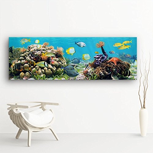 Unterwasser Riff Panorama - XXL 150x50cm, Leinwand auf...