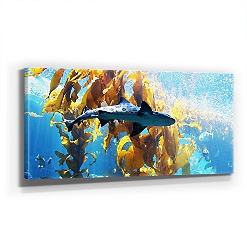 Jack Dyrell - TIGER SHARK 110x50cm XXL BILD - KUNST, Leinwand auf Echtholzrahmen aufgespannt, UV-stabil und wasserfest, modernes XXL Deko Bild FineArtPrint Wandbild