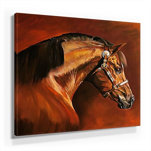 Mia Morro Pferde Bild A350, 1 Teil 50x50cm Leinwand auf Holzrahmen aufgespannt, FineArt Print, UV-stabil und wasserfest, Kunstdruck für Büro oder Wohnzimmer, Deko Bild