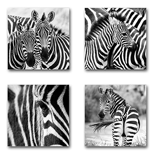 Zebras - Set A schwebend, 4-teiliges Bilder-Set je Teil 19x19cm, Seidenmatte moderne Optik auf Forex, UV-stabil, wasserfest, Kunstdruck für Büro, Wohnzimmer, XXL Deko Bild