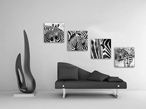 Zebras - Set A schwebend, 4-teiliges Bilder-Set je Teil 19x19cm, Seidenmatte moderne Optik auf Forex, UV-stabil, wasserfest, Kunstdruck für Büro, Wohnzimmer, XXL Deko Bild