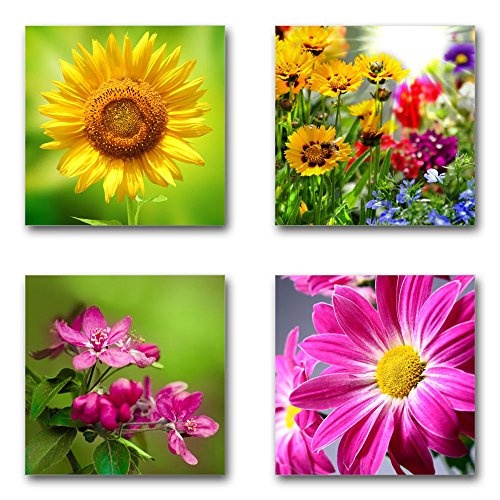 Blumen Blüten - Set D schwebend, 4-teiliges Bilder-Set je Teil 19x19cm, Seidenmatte moderne Optik auf Forex, UV-stabil, wasserfest, Kunstdruck für Büro, Wohnzimmer, XXL Deko Bild
