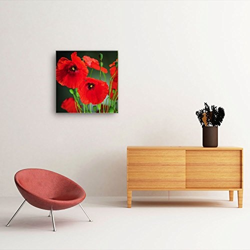 Mohnblumen Bild B450, 1 Teil 50x50cm Leinwand auf Holzrahmen aufgespannt, FineArt Print, UV-stabil und wasserfest, Kunstdruck für Büro oder Wohnzimmer, Deko Bild