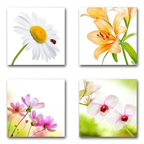 Blumen Blüten - Set C schwebend, 4-teiliges Bilder-Set je Teil 29x29cm, Seidenmatte moderne Optik auf Forex, UV-stabil, wasserfest, Kunstdruck für Büro, Wohnzimmer, XXL Deko Bild