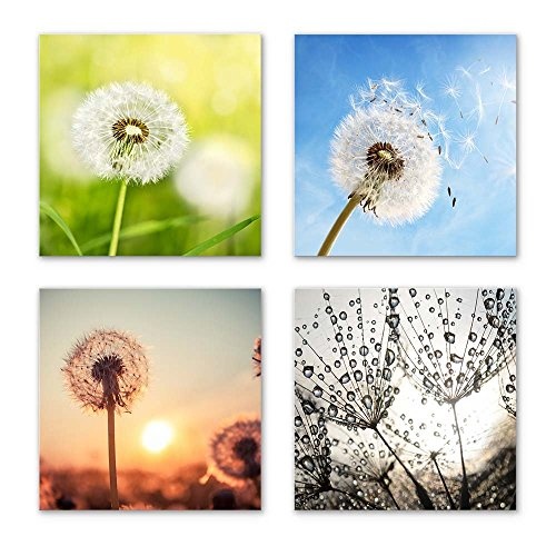 Pusteblume Set B schwebend, 4-teiliges Blumen Bilder-Set jedes Teil 29x29cm, Seidenmatte Optik auf Forex Fine Art, moderne Optik, UV-stabil, wasserfest, Kunstdruck für Büro, Wohnzimmer, XXL Deko Bild