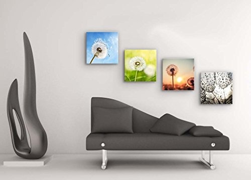 Pusteblume Set B schwebend, 4-teiliges Blumen Bilder-Set jedes Teil 29x29cm, Seidenmatte Optik auf Forex Fine Art, moderne Optik, UV-stabil, wasserfest, Kunstdruck für Büro, Wohnzimmer, XXL Deko Bild