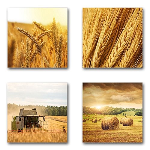 Getreide Ernte - Set A schwebend, 4-teiliges Bilder-Set...