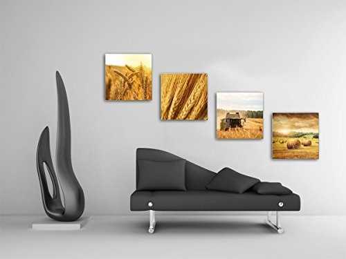 Getreide Ernte - Set A schwebend, 4-teiliges Bilder-Set je Teil 29x29cm, Seidenmatte moderne Optik auf Forex, UV-stabil, wasserfest, Kunstdruck für Büro, Wohnzimmer, XXL Deko Bild