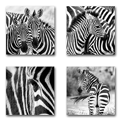 Zebras - Set A schwebend, 4-teiliges Bilder-Set je Teil...