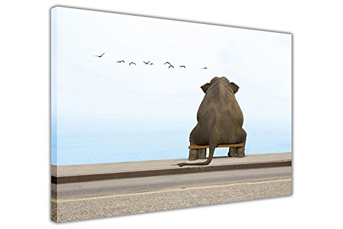 Elefant sitzend auf Bank am Meer auf gerahmtes Leinwandbild, Kunstdruck Tier Bilder, 06- A0 - 40" X 30" (101cm X 76cm)