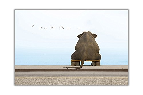 Elefant sitzend auf Bank am Meer auf gerahmtes Leinwandbild, Kunstdruck Tier Bilder, 06- A0 - 40" X 30" (101cm X 76cm)