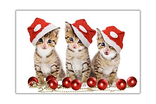 CANVAS IT UP Kätzchen in Christmas Hüte auf Leinwand, Bilder Home Dekoration Prints