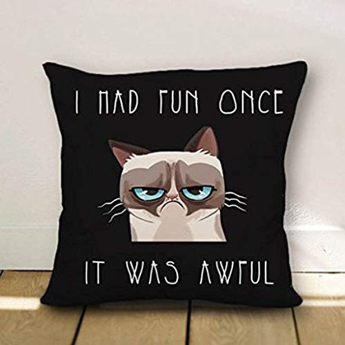 Juzijiang I and Fun Once it was Awful Cute Cat Standard Canvas Throw Pillow Covers Decorative for Sofa Cushion Covers18X18 inch