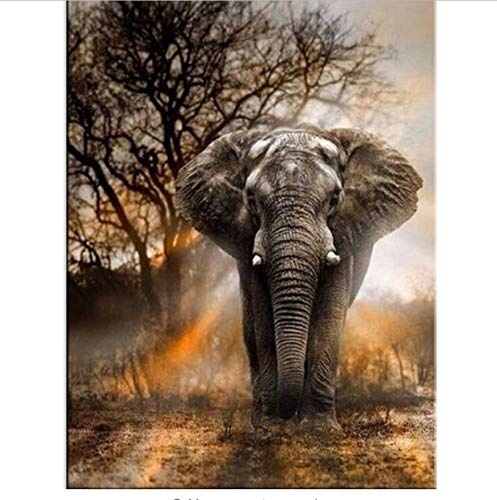 JHSM Diamond Painting DIY 5D Diamond Painting Kits Full Drill Rhinestone Cross Stitch DIY Diamond Painting Animal Elephant Embroidery Patterns Cross 12X16 Inch