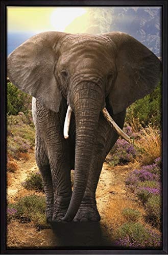 Homedeco-24 Canvas Leinwandbild Wandbild Kunstdruck, Elefant in Afrika Hochformat 80x120 cm auf Keilrahmen gespannt und mit Massivholz-Schattenfugenrahmen 6 Farben zur Auswahl, Hier Schwarz