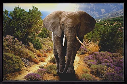 Homedeco-24 Canvas Leinwandbild Wandbild Kunstdruck, EIN Elefant in Afrika - Querformat 80x120 cm auf Keilrahmen gespannt und mit Massivholz-Schattenfugenrahmen 6 Farben-Auswahl, Hier Schwarz