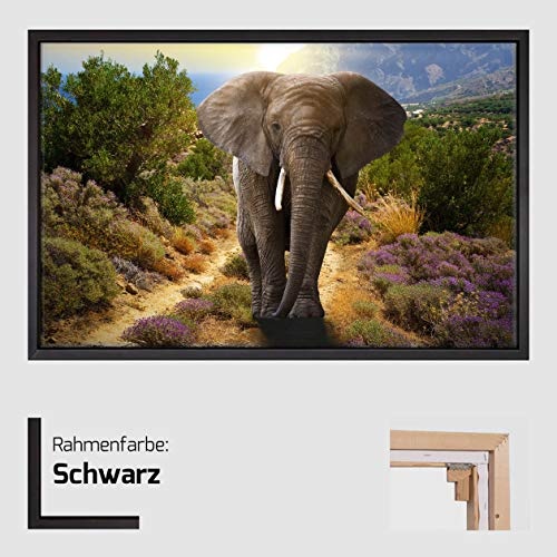 Homedeco-24 Canvas Leinwandbild Wandbild Kunstdruck, EIN Elefant in Afrika - Querformat 80x120 cm auf Keilrahmen gespannt und mit Massivholz-Schattenfugenrahmen 6 Farben-Auswahl, Hier Schwarz