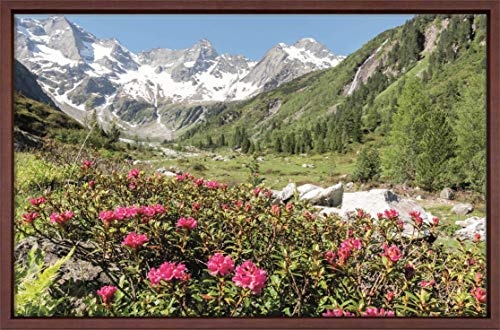 Canvas Leinwandbild Wandbild Kunstdruck, Alpenrosen in herrlicher Berglandschaft 80x120 cm auf Keilrahmen gespannt und mit Massivholz-Schattenfugenrahmen 6 Farben-Auswahl, hier Dunkelbraun