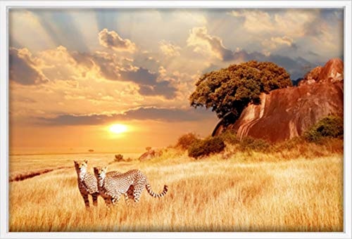 Canvas Leinwandbild Wandbild Kunstdruck, Geparde in der afrikanischen Savanne Serengeti 80x120 cm auf Keilrahmen gespannt und mit Massivholz-Schattenfugenrahmen 6 Farben-Auswahl, hier Weiß