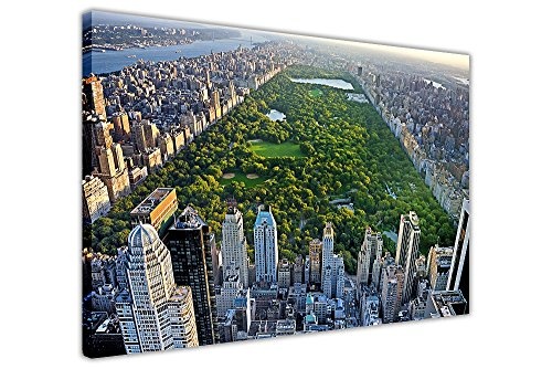 CANVAS IT UP Iconic New York Central Park Landschaft Landschaft Bilder auf Leinwand Modern Art Prints Wand Bilder Größe: A1-86,4 x 61 cm (86 cm x 60 cm)