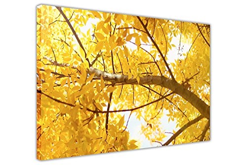 CANVAS IT UP Baum Gelb Blätter Floral eingerahmt in der Dekoration von Haus der Kunst von der Wand Bilder von der Canvas Modern 06-24" X 20" (60CM X 50CM) Gelb