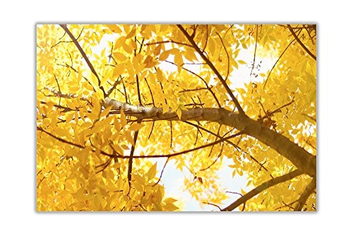 CANVAS IT UP Baum Gelb Blätter Floral eingerahmt in der Dekoration von Haus der Kunst von der Wand Bilder von der Canvas Modern 06-24" X 20" (60CM X 50CM) Gelb