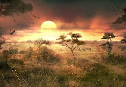 African Sunset mit Wildlife Nebel und Bäume Natur...
