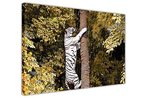 CANVAS IT UP Weiß Tiger Klettern Baum mit Gelb Blätter auf Leinwand gerahmt Wall Decor Art Tier Bilder Größe: 101,6 x 76,2 cm (101 x 76 cm)