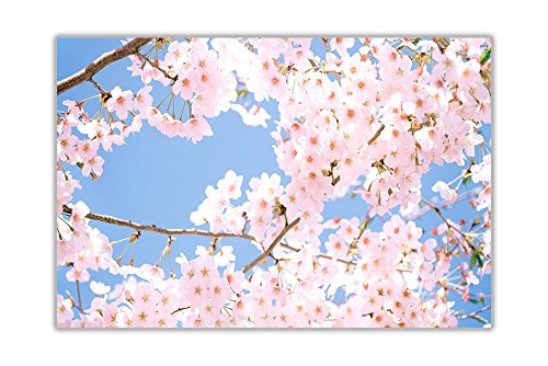 CANVAS IT UP Blumen Fotos Cherry Blossom Baum, Leinwandbild, Kunstdruck Foto Raum Dekoration