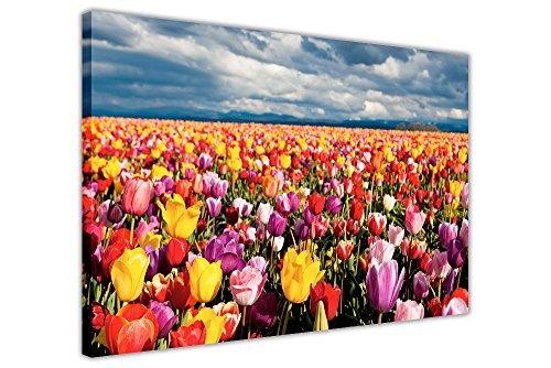 CANVAS IT UP Tulip Field auf Rahmen auf Leinwand, Drucke Blumen Bilder Poster Größe: 101,6 x 76,2 cm (101 x 76 cm)