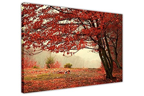 CANVAS IT UP Rot Baum Forest gerahmtes Leinwandbild, Kunstdruck Natur Bilder Wand Poster Größe: 101,6 x 76,2 cm (101 x 76 cm)