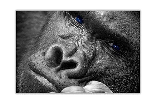 CANVAS IT UP Gorilla denken auf Rahmen Bilder Leinwand Wand Art Prints Tier Home Deko Fotos Größe: A1-86,4 x 61 cm (86 cm x 60 cm)