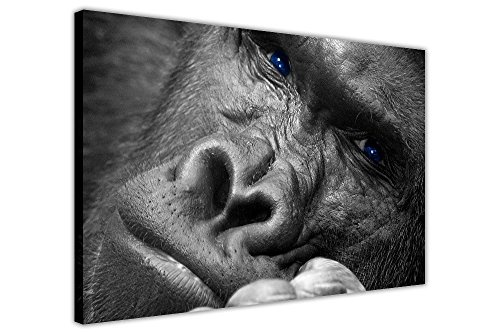 CANVAS IT UP Gorilla denken auf Rahmen Bilder Leinwand Wand Art Prints Tier Home Deko Fotos Größe: A1-86,4 x 61 cm (86 cm x 60 cm)