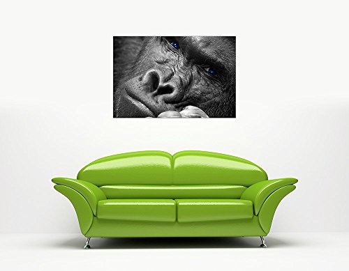 CANVAS IT UP Gorilla denken auf Rahmen Bilder Leinwand Wand Art Prints Tier Home Deko Fotos Größe: A1-86,4 x 61 cm (86 cm x 60 cm)