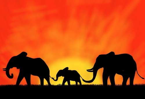 CANVAS IT UP African Elefant Family unter Sunset Silhouette Leinwanddruck, Nature Foto Raum Décor Print Home Dekoration Bild