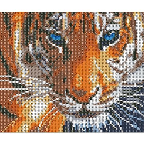 DIY 5D Diamond Painting, Crystal Rhinestone Embroidery Pictures Arts Craft for Home Wall Decor Aggressive Tiger 11.8 x 13.8