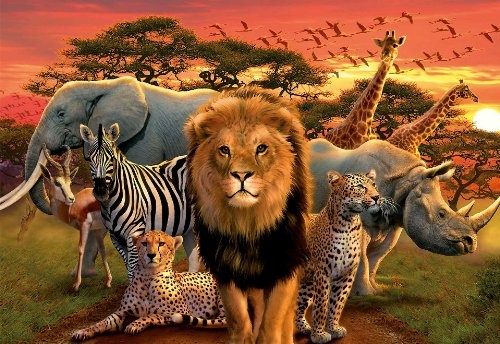 CANVAS IT UP Große Leinwand Wand Art Prints African Wildlife Löwe Elefant Giraffe Landschaft Kinder Schlafzimmer Dekoration Foto Home Décor Bilder