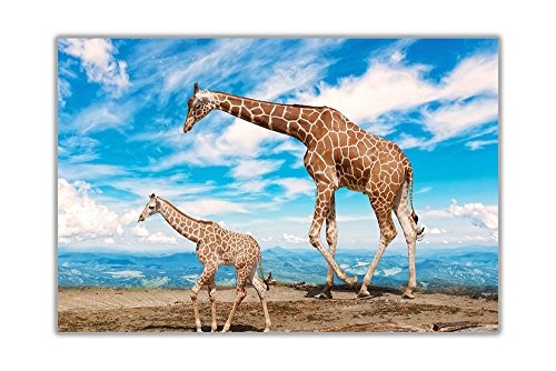 CANVAS IT UP Blue Sky und Baby Giraffe auf Leinwand gerahmt Art Wand Home Dekoration Tier Bilder, blau, 02- A3-16" X 12" (40cm X 30cm)