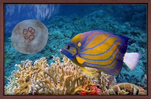 Homedeco-24 Canvas Leinwandbild Wandbild Kunstdruck, Korallenriff mit Fischen 80x120 cm auf Keilrahmen gespannt und mit Massivholz-Schattenfugenrahmen 6 Farben-Auswahl, Hier Dunkelbraun