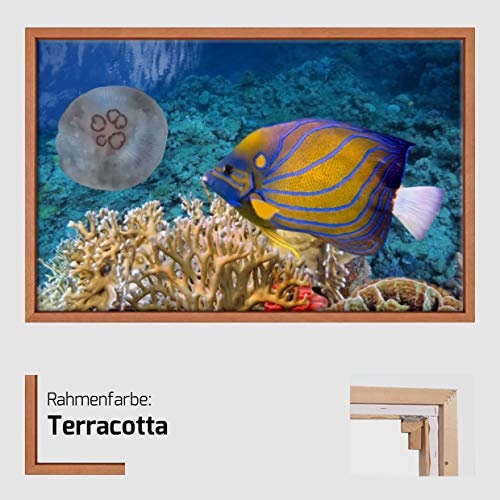 Homedeco-24 Canvas Leinwandbild Wandbild Kunstdruck, Korallenriff mit Fischen 65x100 cm auf Keilrahmen gespannt und mit Massivholz-Schattenfugenrahmen 6 Farben-Auswahl, Hier Terrakotta