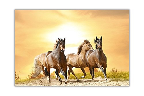 CANVAS IT UP Running Wilde Pferde, Sonnenuntergang Leinwand Wand Art Prints Dekoration Bilder Hand gedehnt um 1,8 cm Dicker Rahmen aus Kiefernholz