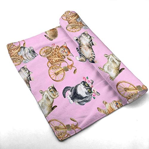 Hectwya Playful Cats Maximum Softness Cotton Quick-Dry Hand Towels Basics Washcloth Premium Quality