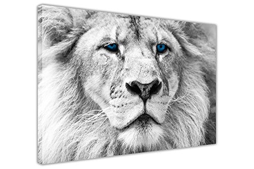 CANVAS IT UP Leinwand Wand Art Prints Weiß Löwe blau Augen Bilder Raum Dekoration Tier Home Art Nature Fotos