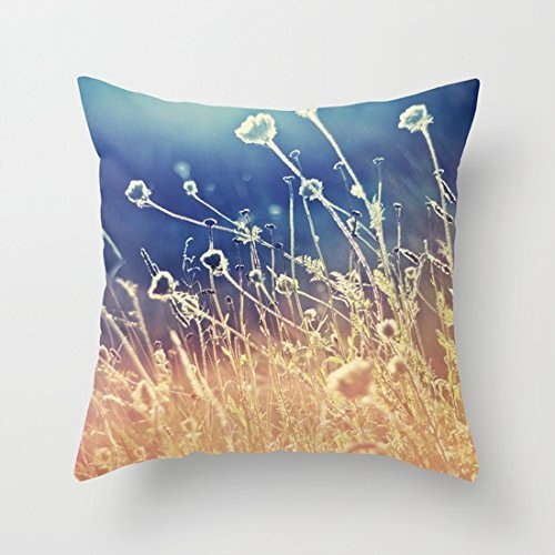 Juzijiang Blue and Day Nice Canvas Throw Pillow Covers...