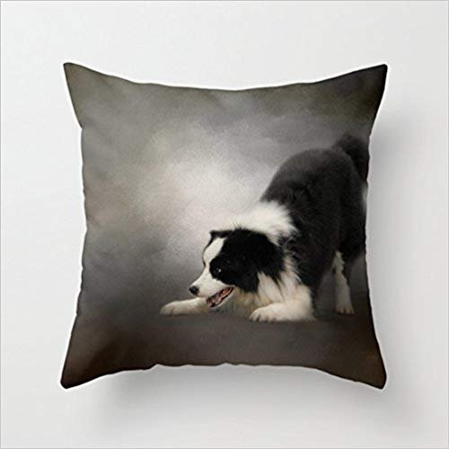 Juzijiang Ready to Play - Border Collie Canvas Throw Pillow Covers Cushion Case for sofa20X20 inch