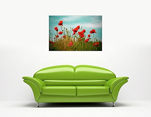 CANVAS IT UP Blooming Poppy Field gerahmt auf Leinwand Home Deco Bilder Wand Poster Größe: 101,6 x 76,2 cm (101 x 76 cm)
