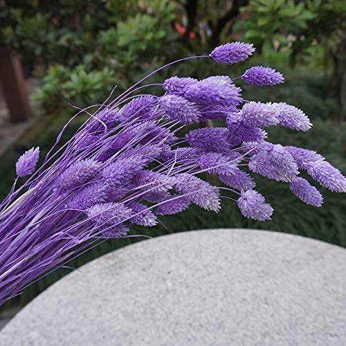 Wall Est - 1 Bunch 20pcs Natural Simulation Plants Dried Flowers Bouquets Living Room Wedding P10 - Lavender Bridesmaids Garden Rustic Navy Cake Packaging Decoration Inserts Display Supplies Pu
